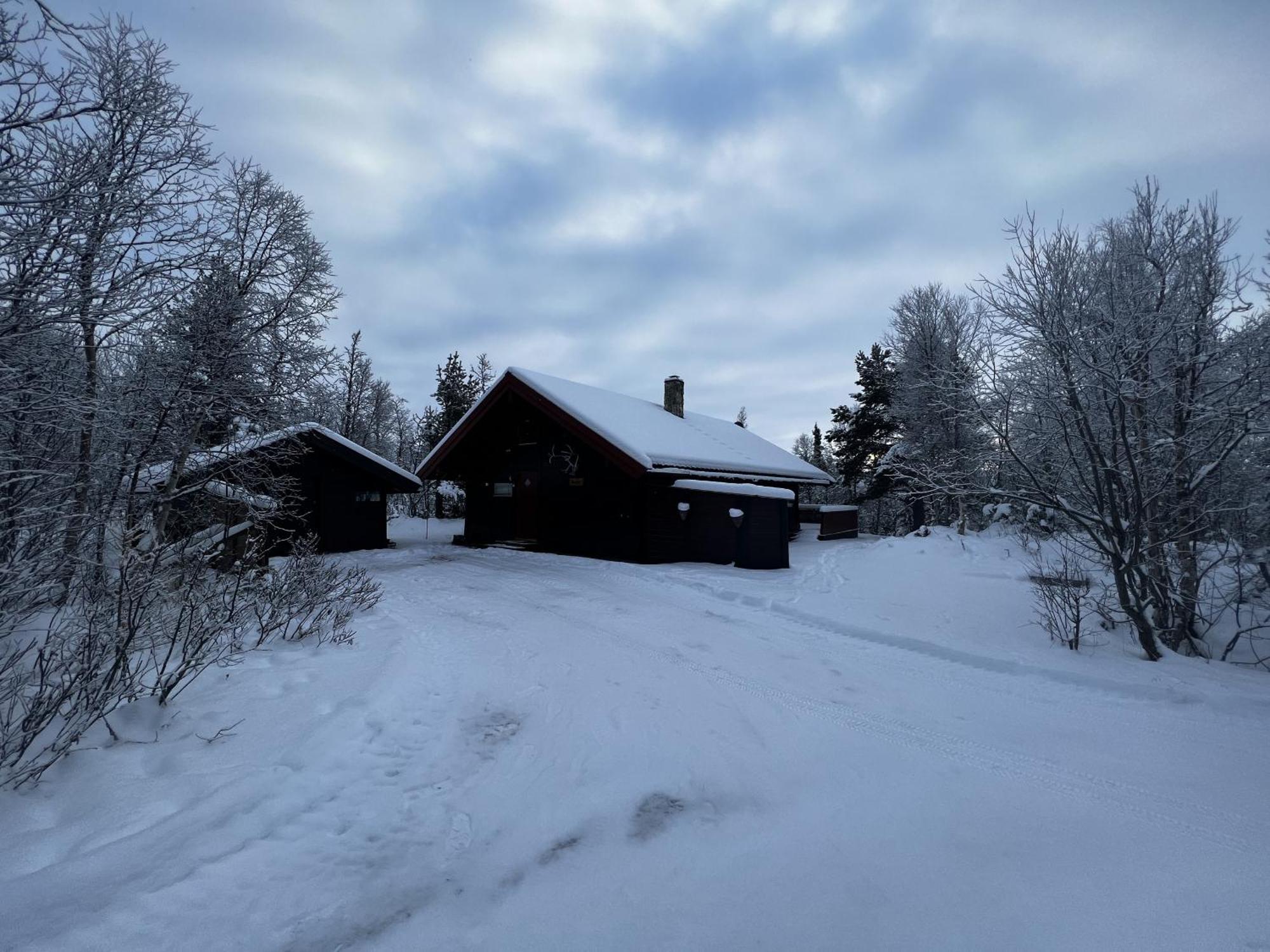 Koselig Hytte Med Usjenert Og Solrik Beliggenhet ヤイロ エクステリア 写真