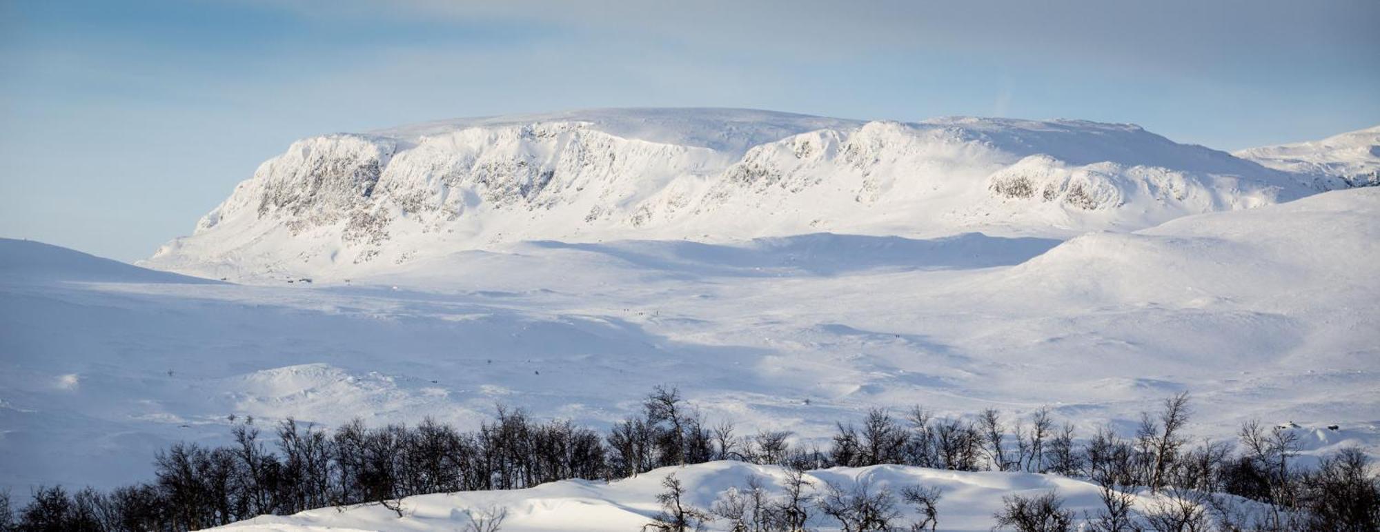 Koselig Hytte Med Usjenert Og Solrik Beliggenhet ヤイロ エクステリア 写真